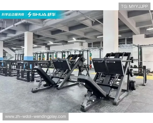 旋转跑步健身器材功能及科学训练效果 旋转跑步健身器材功能及科学训练效果